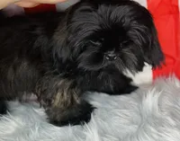 processed/5d111924-ec2e-4594-b583-dc9be382cae0/listing/4a3b99c3-e52c-47a3-b172-d2ac1d3c15be/408f2562-2f4c-4ce4-8e31-f648bb654ce4