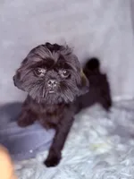 processed/5d111924-ec2e-4594-b583-dc9be382cae0/listing/4a3b99c3-e52c-47a3-b172-d2ac1d3c15be/511081d9-71a1-404f-8d32-1ac2b8c47765