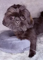 processed/5d111924-ec2e-4594-b583-dc9be382cae0/listing/4a3b99c3-e52c-47a3-b172-d2ac1d3c15be/74f3a651-2171-40b1-b5ae-88379478e2f5