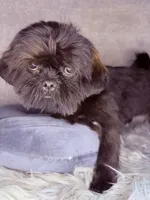 processed/5d111924-ec2e-4594-b583-dc9be382cae0/listing/4a3b99c3-e52c-47a3-b172-d2ac1d3c15be/864e9d99-d3e3-4fd8-936e-21609652675f