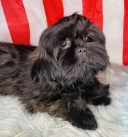 processed/5d111924-ec2e-4594-b583-dc9be382cae0/listing/4a3b99c3-e52c-47a3-b172-d2ac1d3c15be/abc44682-ab0e-4130-9666-94fa414fb060