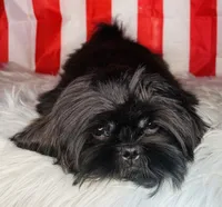 processed/5d111924-ec2e-4594-b583-dc9be382cae0/listing/4a3b99c3-e52c-47a3-b172-d2ac1d3c15be/b257c6e8-642d-46a3-a597-73bffb1cee54