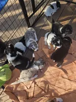 processed/5d150c70-059b-49e6-84b0-3c896ed9d62f/facility/3a5a863b-fef3-44e9-8d2e-bba5e40aff14