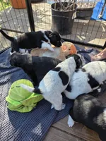 processed/5d150c70-059b-49e6-84b0-3c896ed9d62f/facility/4418ea76-ecf5-4146-863b-96b960373b49