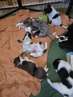 processed/5d150c70-059b-49e6-84b0-3c896ed9d62f/facility/969221e4-96fa-4a4f-9b21-75bbc3246dce