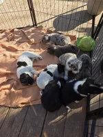 processed/5d150c70-059b-49e6-84b0-3c896ed9d62f/facility/9741af41-9258-447b-8f90-586ae9df6b29