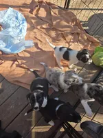 processed/5d150c70-059b-49e6-84b0-3c896ed9d62f/facility/ad7b7f30-b668-4f3a-b69a-2eb3cc3f695c