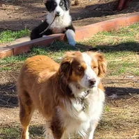 processed/5d24457a-4096-4261-9a25-ef77922ea4be/facility/0e00ecce-7230-4a11-861e-2fd40746bc22