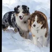 processed/5d24457a-4096-4261-9a25-ef77922ea4be/facility/139f361e-58d2-45b4-929b-1067445ae567