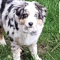 processed/5d24457a-4096-4261-9a25-ef77922ea4be/facility/285c83ef-4406-4f09-80d2-9713ff2b0483