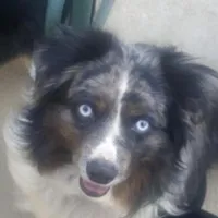 processed/5d24457a-4096-4261-9a25-ef77922ea4be/facility/3ea47dd2-fb20-4095-83a7-f71f0a4bc81e