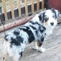 processed/5d24457a-4096-4261-9a25-ef77922ea4be/facility/706a2a1d-a9ac-4de0-91ed-129ffe96080a