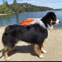 processed/5d24457a-4096-4261-9a25-ef77922ea4be/facility/cb7c367e-51f2-4828-86d2-d48479ada3c8