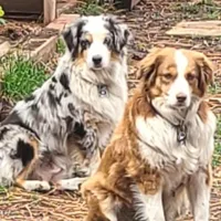 processed/5d24457a-4096-4261-9a25-ef77922ea4be/facility/fc6dadff-1976-4ed8-9cce-8a4c667a648f