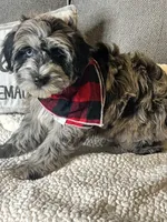 processed/5d30a7ed-cd74-4eef-9fff-65ecd4d040d0/listing/28ebe0bc-8af4-472c-8226-0136be9725ec/494b8694-8e1b-42b7-939e-e26e4aa204d5