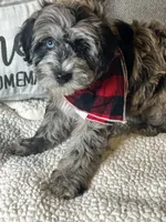 processed/5d30a7ed-cd74-4eef-9fff-65ecd4d040d0/listing/28ebe0bc-8af4-472c-8226-0136be9725ec/aba13e3e-ef26-4e74-ab9d-5b56a59333ed