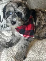 processed/5d30a7ed-cd74-4eef-9fff-65ecd4d040d0/listing/28ebe0bc-8af4-472c-8226-0136be9725ec/ecb06929-06e3-419c-b221-2e880a843711