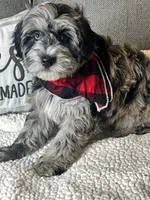 processed/5d30a7ed-cd74-4eef-9fff-65ecd4d040d0/listing/28ebe0bc-8af4-472c-8226-0136be9725ec/ed929080-e173-4367-a0f0-0f192fa28092