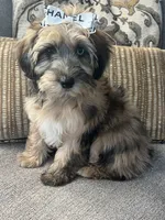 processed/5d30a7ed-cd74-4eef-9fff-65ecd4d040d0/listing/2bf3e18d-bfbc-47f7-a13c-72c1672c8246/0d8ca28a-93f5-4c73-aab1-2ffd8869971c