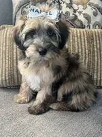 processed/5d30a7ed-cd74-4eef-9fff-65ecd4d040d0/listing/2bf3e18d-bfbc-47f7-a13c-72c1672c8246/6aebf133-58c6-4183-982a-700b3be8a9ee