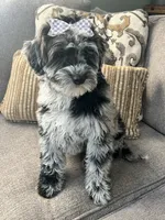 processed/5d30a7ed-cd74-4eef-9fff-65ecd4d040d0/listing/2bf3e18d-bfbc-47f7-a13c-72c1672c8246/c569a0dc-7e3f-4e04-915e-e58003a97a34