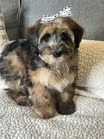 processed/5d30a7ed-cd74-4eef-9fff-65ecd4d040d0/listing/2bf3e18d-bfbc-47f7-a13c-72c1672c8246/ffcf61ea-2374-4e86-8d21-6ebdd1c3031e