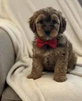 processed/5d30a7ed-cd74-4eef-9fff-65ecd4d040d0/listing/40e864bd-1621-4ac6-8077-616e889c787e/1b7f5df3-ee7a-4c30-a1ba-c3d20278d3d2