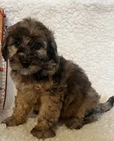 processed/5d30a7ed-cd74-4eef-9fff-65ecd4d040d0/listing/40e864bd-1621-4ac6-8077-616e889c787e/a28b99b0-e66d-4dd9-86c5-da0030205be5