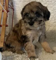 processed/5d30a7ed-cd74-4eef-9fff-65ecd4d040d0/listing/40e864bd-1621-4ac6-8077-616e889c787e/be7450fd-34e4-40e1-97fa-508551f8ae85