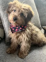 processed/5d30a7ed-cd74-4eef-9fff-65ecd4d040d0/listing/4f8a9bcf-95f9-4d16-8c75-d56fcf7a197e/027f5690-375f-44bd-beb0-68955e9a2cfa