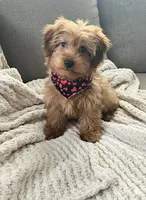 processed/5d30a7ed-cd74-4eef-9fff-65ecd4d040d0/listing/4f8a9bcf-95f9-4d16-8c75-d56fcf7a197e/03173bbb-a2d0-42c3-a819-9fd9e77c49ea