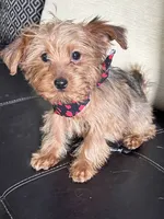 processed/5d30a7ed-cd74-4eef-9fff-65ecd4d040d0/listing/4f8a9bcf-95f9-4d16-8c75-d56fcf7a197e/1e2d0ba7-fc4f-4aeb-a2e3-c8c47e4998e1