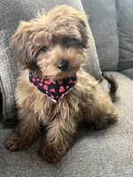 processed/5d30a7ed-cd74-4eef-9fff-65ecd4d040d0/listing/4f8a9bcf-95f9-4d16-8c75-d56fcf7a197e/2cdc07a9-60ce-4b83-be40-757b3b9e47fc