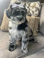 processed/5d30a7ed-cd74-4eef-9fff-65ecd4d040d0/listing/7eaa913a-04b8-4e5f-8316-4832ec500877/3ca8ac6d-21cd-485f-afe5-786081573a5f