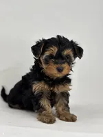 processed/5d30a7ed-cd74-4eef-9fff-65ecd4d040d0/listing/8d3600a0-b2b0-4766-8269-b73da62270d0/f1d51b9b-309c-40ac-b957-6cbe10551e85