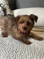 processed/5d30a7ed-cd74-4eef-9fff-65ecd4d040d0/listing/a4a2c411-1ddf-4368-8fba-1f41f29ca15f/3d54338c-0a65-4382-beb5-0b70a67ad3e0