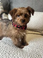 processed/5d30a7ed-cd74-4eef-9fff-65ecd4d040d0/listing/a4a2c411-1ddf-4368-8fba-1f41f29ca15f/45cb62fa-b888-4e04-91c0-423d752d9288