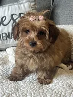 processed/5d30a7ed-cd74-4eef-9fff-65ecd4d040d0/listing/a4a2c411-1ddf-4368-8fba-1f41f29ca15f/572a4ec2-bbbb-4380-8be2-96e90f656c2d