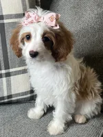 processed/5d30a7ed-cd74-4eef-9fff-65ecd4d040d0/listing/fffcdce4-a2a7-42cb-bdd9-85301a6d1e81/16d92f1e-55b8-4684-a3dc-226ae3b809d3