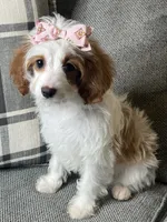 processed/5d30a7ed-cd74-4eef-9fff-65ecd4d040d0/listing/fffcdce4-a2a7-42cb-bdd9-85301a6d1e81/d092978c-4dd1-437b-b74d-a6abbfa46452