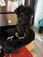 processed/5d384f84-2898-4829-98bb-733106488e39/listing/fad020f0-65b4-4f8d-af8c-9b225e0916b9/120f5db1-fba9-4a94-8a3f-8f9865fc27d6