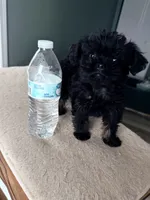 processed/5d384f84-2898-4829-98bb-733106488e39/listing/fad020f0-65b4-4f8d-af8c-9b225e0916b9/8697ce14-38f9-42c8-80d0-034153f149f9