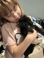 processed/5d384f84-2898-4829-98bb-733106488e39/listing/fad020f0-65b4-4f8d-af8c-9b225e0916b9/96ba6c9a-3fb2-4375-9168-7d21256951d2