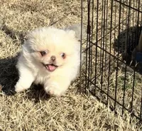 processed/5d4676f2-3c89-4aee-8d20-26947deb2325/listing/2c520fb0-d9e0-4309-8baf-8aa3f7acd186/9c2748a3-7a03-44f7-9949-6a1f40a2b7d1