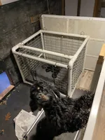 processed/5d47a2ec-7ac4-4539-9ac2-b72692d0a881/facility/5525f354-ac4a-4835-a2a2-4f18a8c07d85