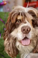 processed/5d47a2ec-7ac4-4539-9ac2-b72692d0a881/facility/6188e724-cee6-4541-9180-403a634c2e02