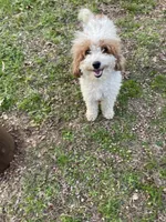 processed/5d47a2ec-7ac4-4539-9ac2-b72692d0a881/facility/68ecf106-57ba-451f-875a-2199e43862d6