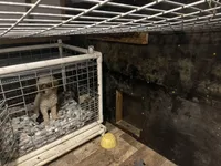 processed/5d47a2ec-7ac4-4539-9ac2-b72692d0a881/facility/bd94bceb-4769-4cea-94f9-b50235b353dc