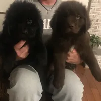 processed/5d49f158-719c-4b46-b4d6-57711bb8e847/facility/478fa9af-5916-4225-acb9-35b02fa494c0