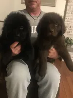 processed/5d49f158-719c-4b46-b4d6-57711bb8e847/facility/478fa9af-5916-4225-acb9-35b02fa494c0